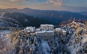 Club Mahindra Pristine Peaks Naldehra